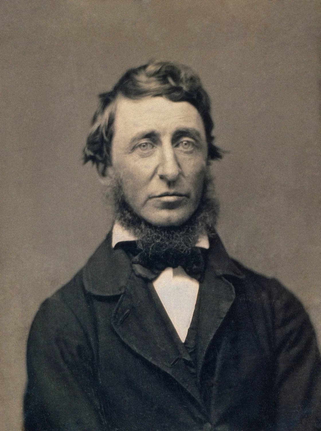 Restored historical portrait of Henry David Thoreau, 1856