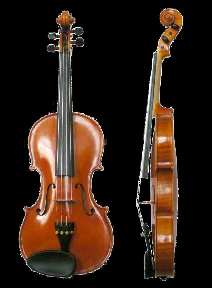 A real violin photographed from the front and side